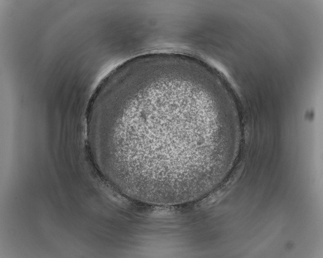 X0000090871267200708171618