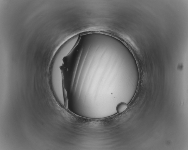 X0000090871268200708171618