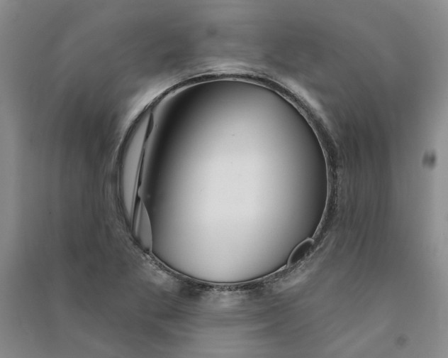 X0000090871269200708171618