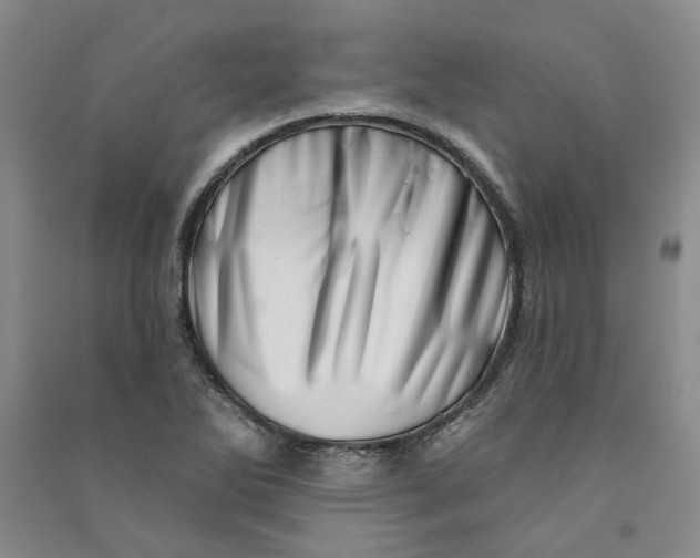 X0000090871270200708171618