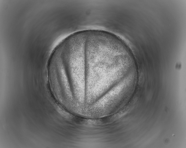 X0000090871271200708171618