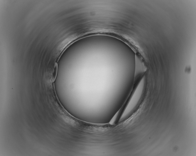 X0000090871273200708171618