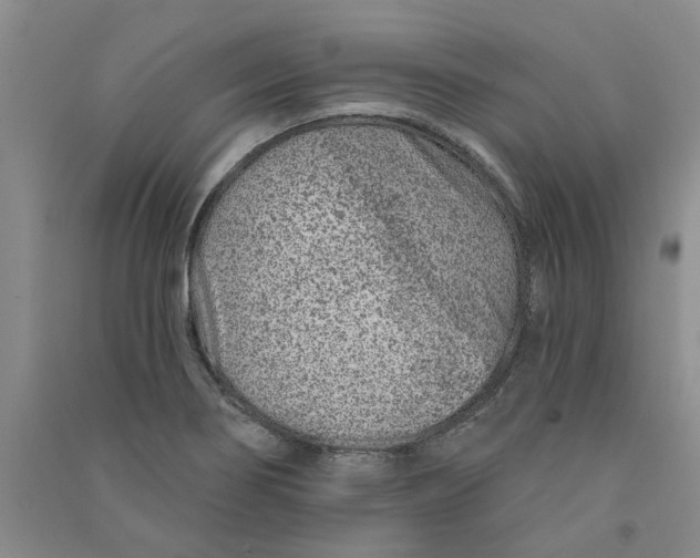 X0000090871274200708171618