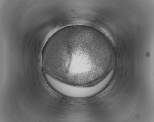 X0000090871275200708171618