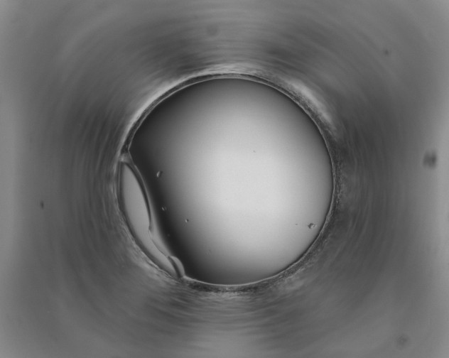 X0000090871276200708171618