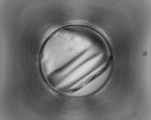 X0000090871277200708171618