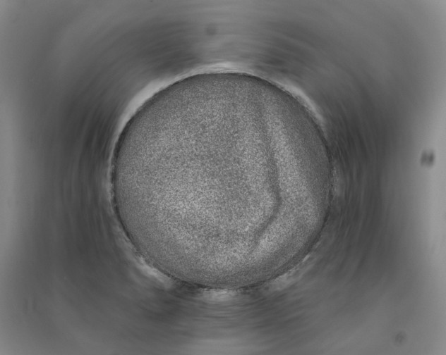 X0000090871278200708171618