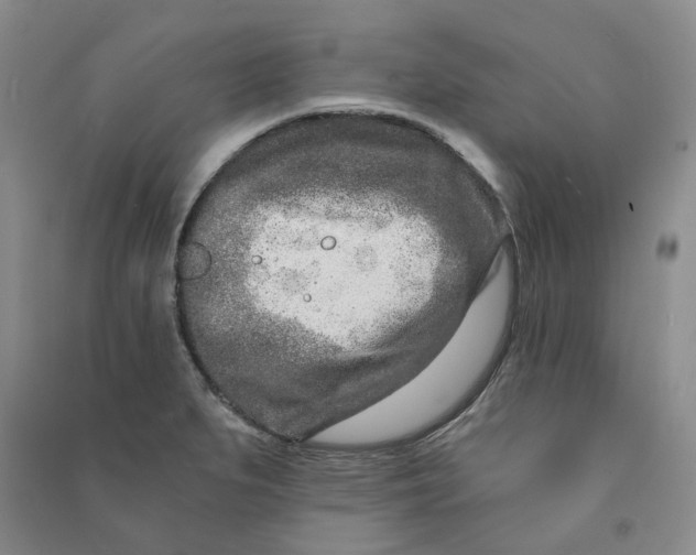 X0000090871279200708171618