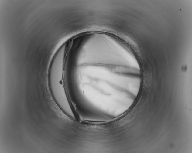 X0000090871280200708171618