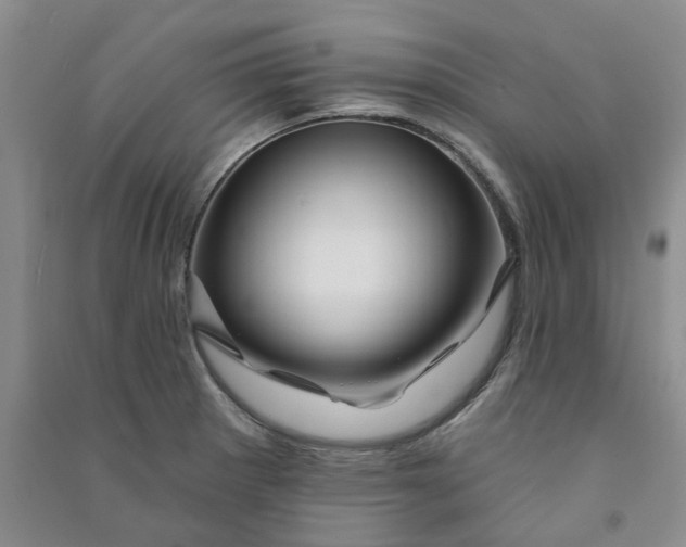 X0000090871281200708171618