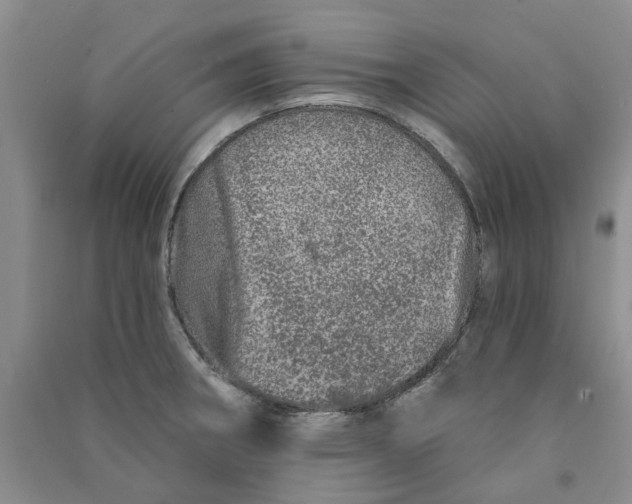 X0000090871282200708171618