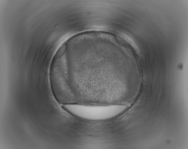 X0000090871283200708171618