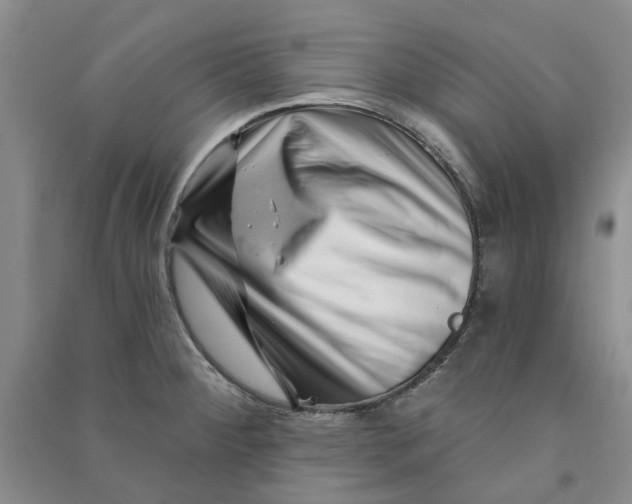 X0000090871284200708171618