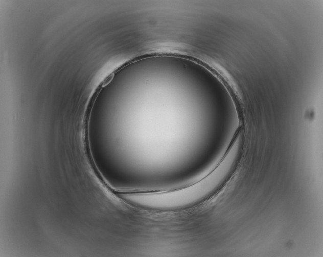 X0000090871285200708171618