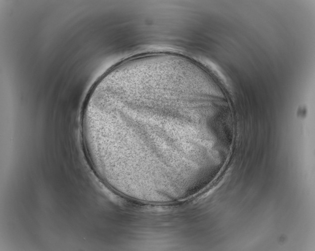 X0000090871286200708171618