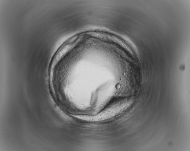 X0000090871287200708171618