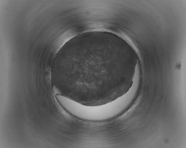 X0000090871289200708171618