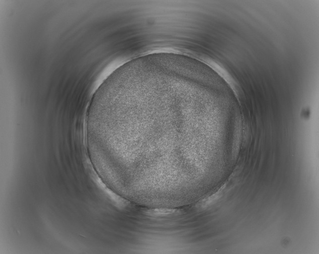 X0000090871290200708171618