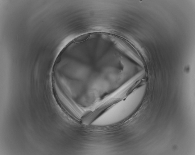 X0000090871291200708171618