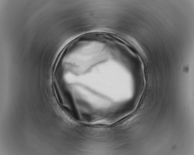 X0000090871292200708171618