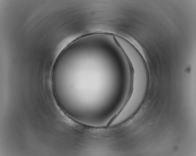 X0000090871293200708171618