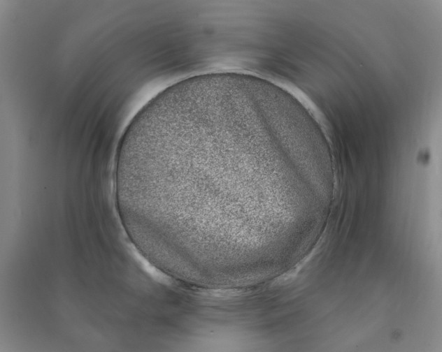 X0000090871294200708171618