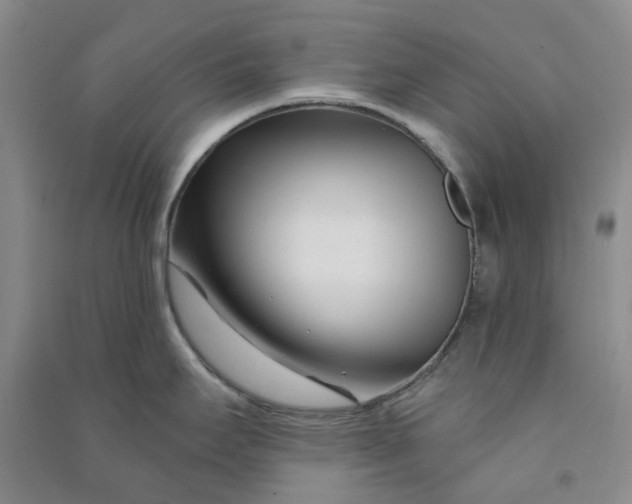 X0000090871295200708171618