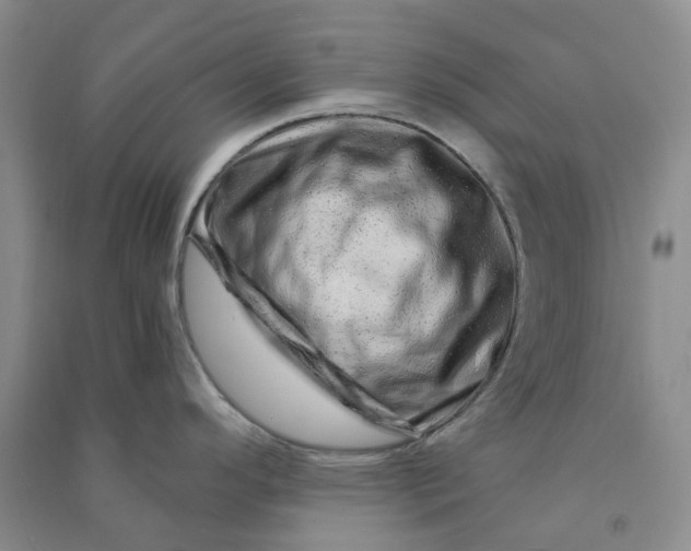 X0000090871296200708171618