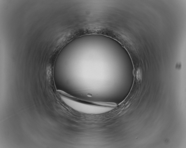 X0000090871299200708171617