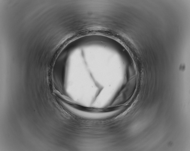 X0000090871305200708171617