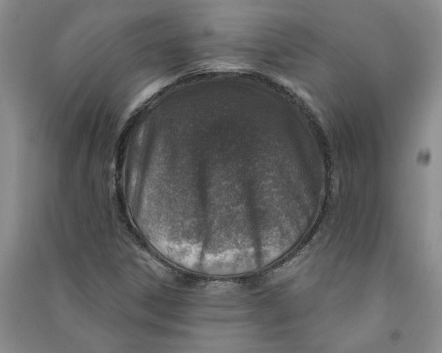 X0000090871306200708171617