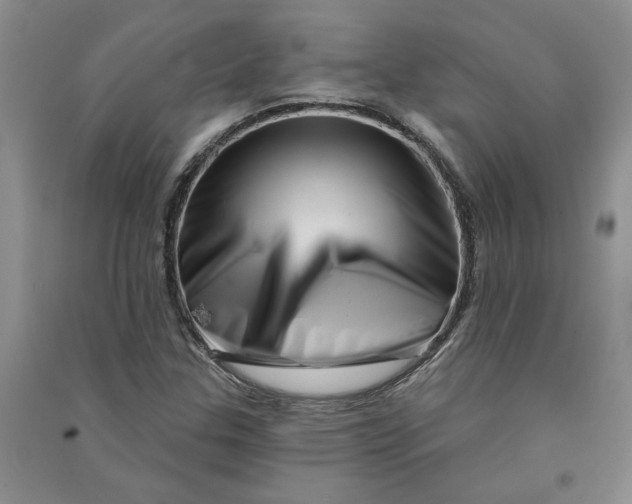 X0000090871307200708171617