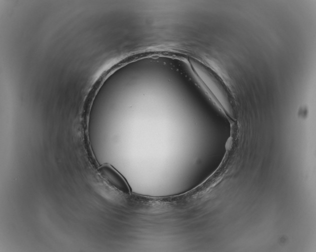 X0000090871308200708171617