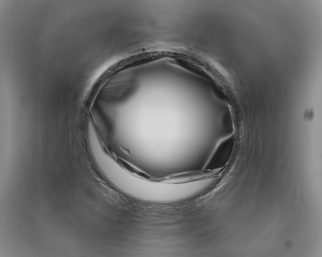 X0000090871310200708171617