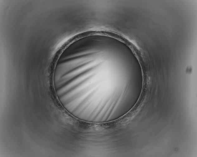 X0000090871311200708171617