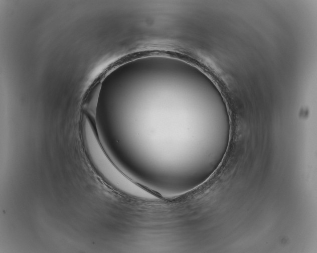 X0000090871312200708171617