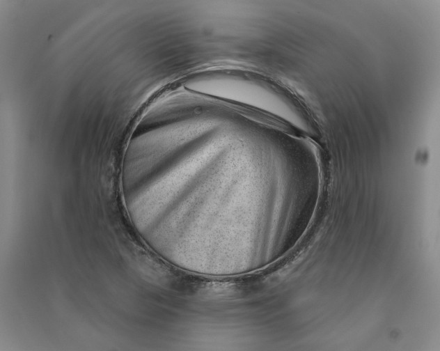 X0000090871313200708171617