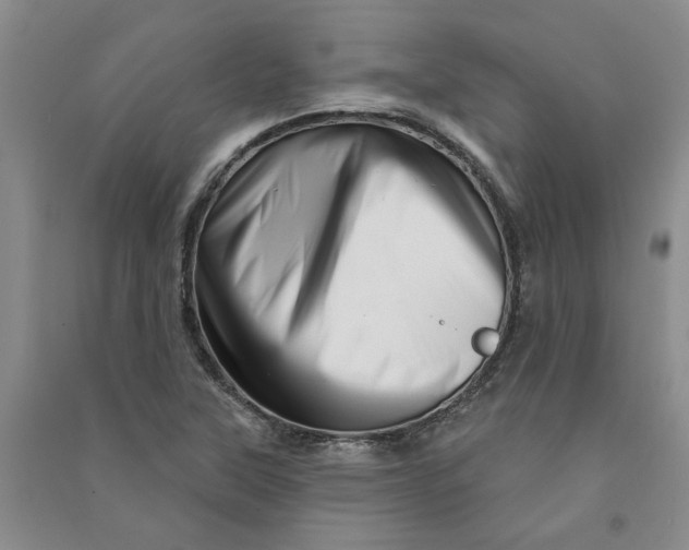 X0000090871315200708171617