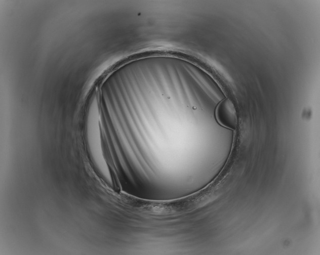 X0000090871318200708171617