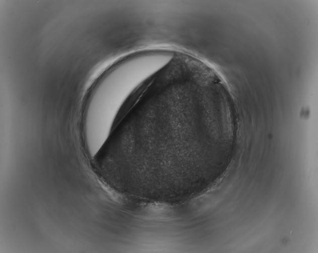 X0000090871319200708171617