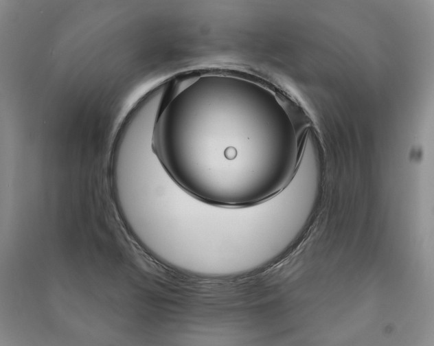 X0000090871320200708171617