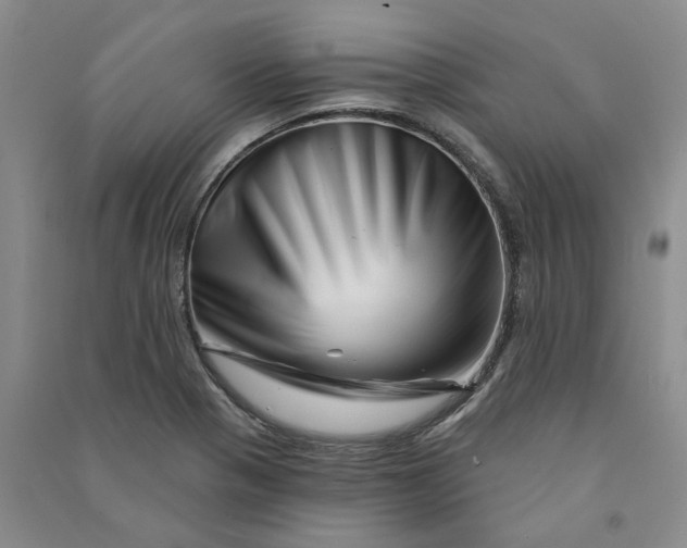 X0000090871321200708171617