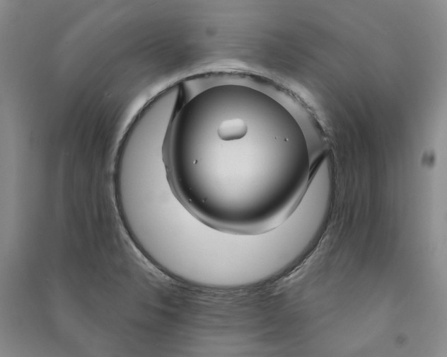 X0000090871326200708171617