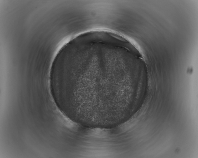 X0000090871327200708171617