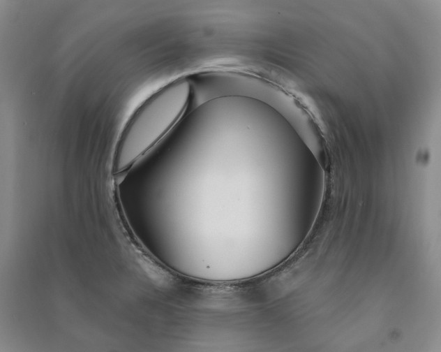 X0000090871328200708171617