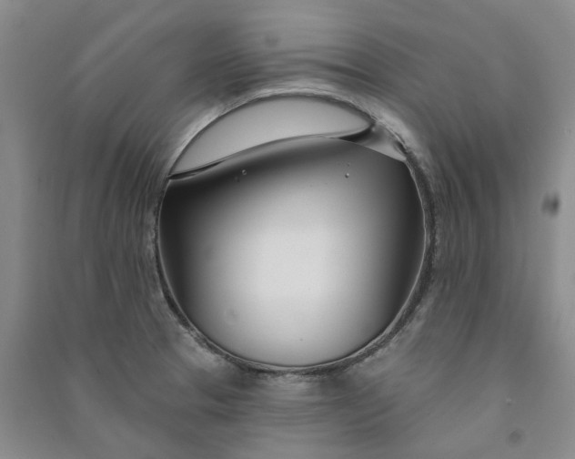 X0000090871329200708171617