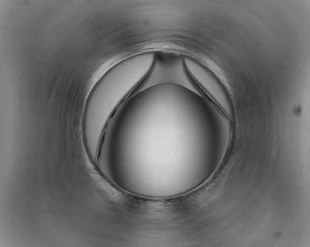 X0000090871330200708171617