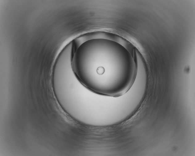 X0000090871332200708171617