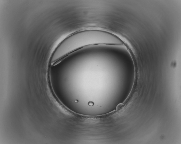 X0000090871333200708171618