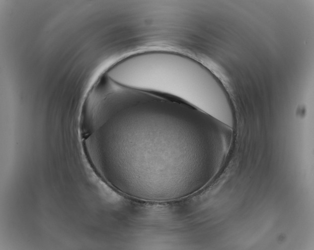 X0000090871334200708171618